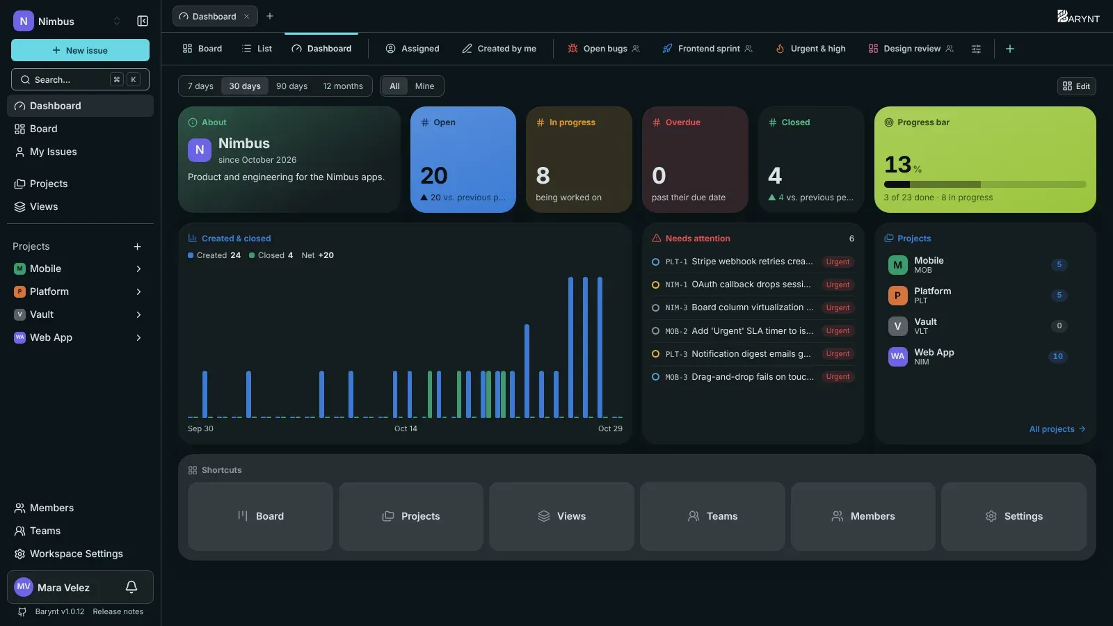 The Barynt dashboard of a workspace