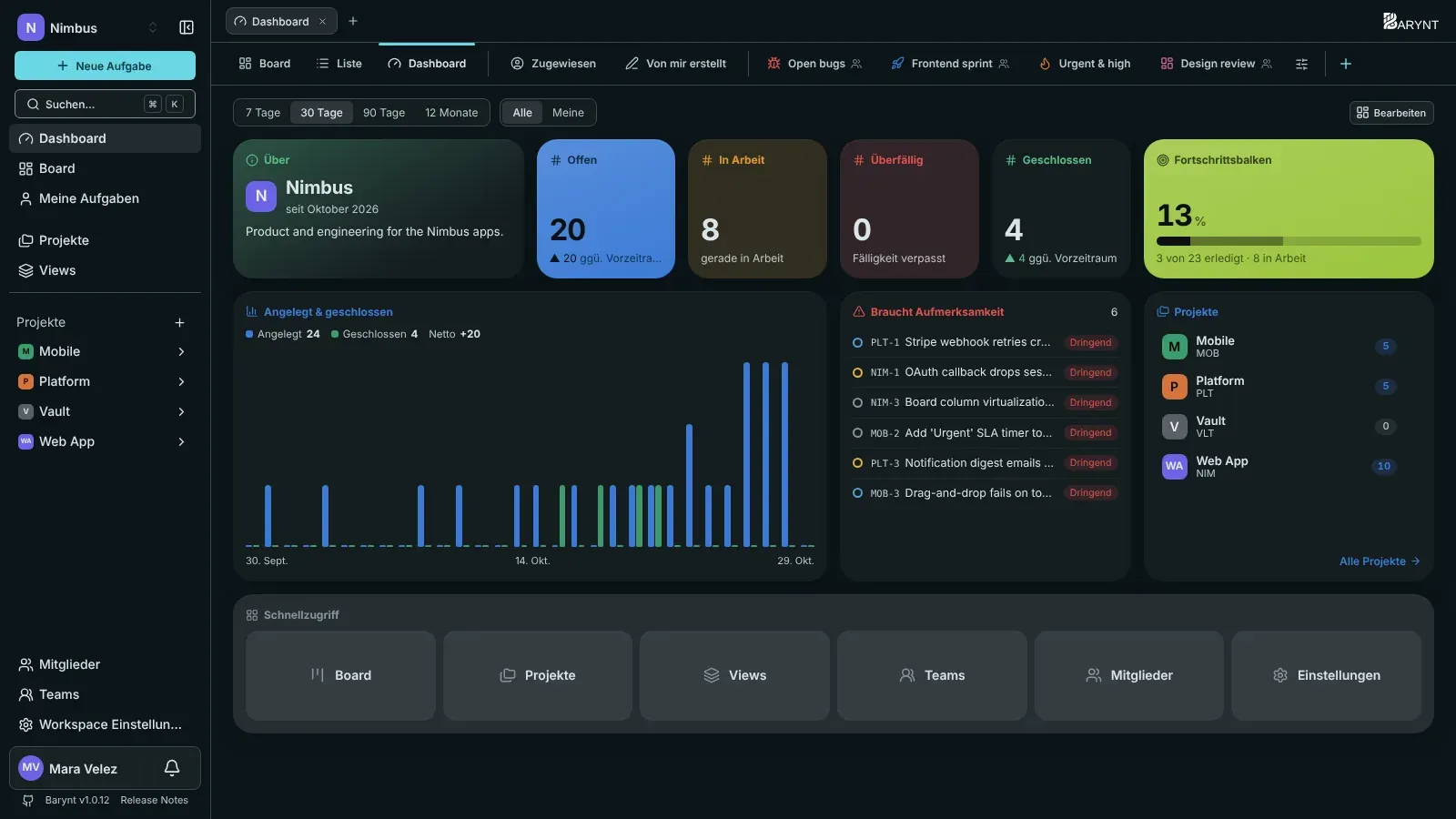Das Barynt-Dashboard eines Workspace